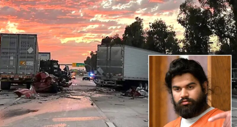 Illegal immigrant trucker driver pleads guilty in deadly Ontario semi-truck crash