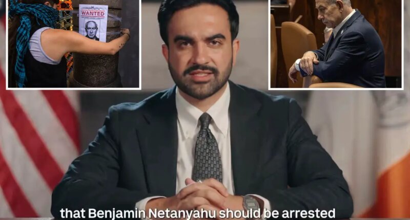Jewish rights group skewers Zohran Mamdani for peddling Hamas propaganda in televised 'political spectacle'