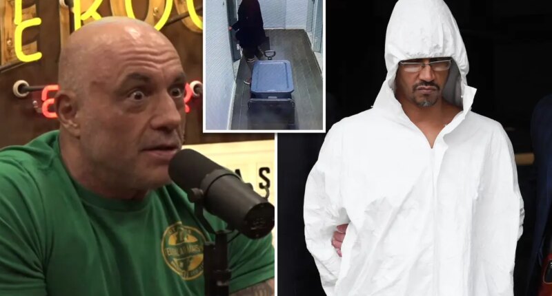 Joe Rogan reveals former podcast guest Sheldon Johnson allegedly decapitated a man after appearing on 'The Joe Rogan Experience'