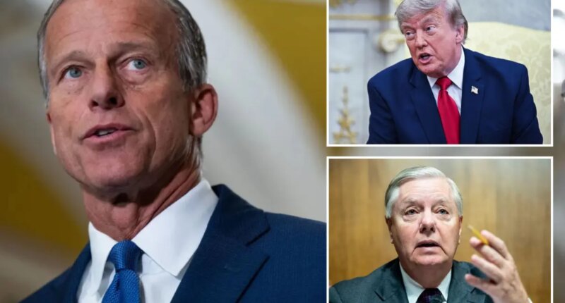 John Thune tells The Post about potential breakthrough on SAVE America Act — led by Lindsey Graham