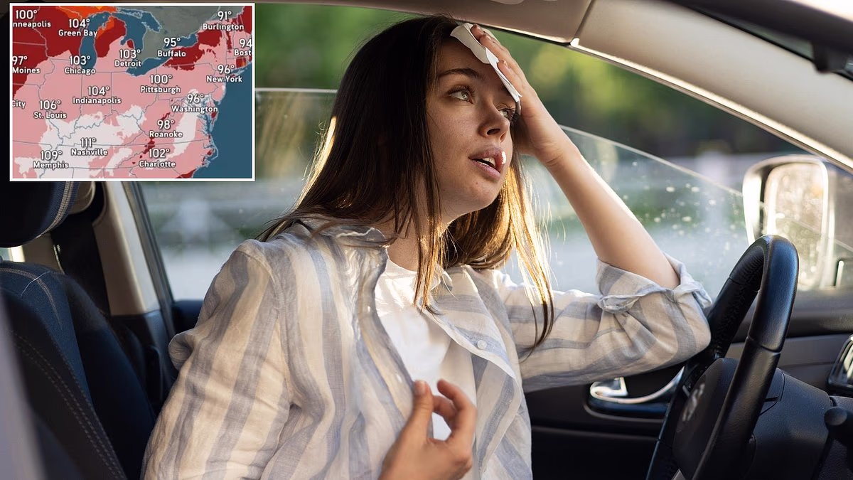 Just 10 MINUTES in cars can kill as millions roast in scorching heat