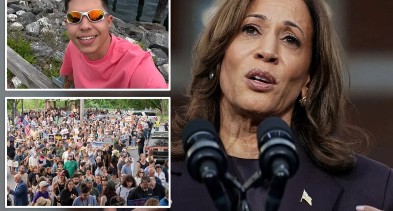 Kamala Harris slams ICE agents for fatally shooting 'illegal alien' Joan Sebastian Guerrero who allegedly tried to run them over in Maine