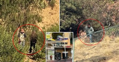 Lake Hollywood Park rocked by wave of truly disgusting acts — before food is served