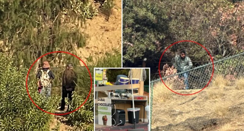 Lake Hollywood Park rocked by wave of truly disgusting acts — before food is served