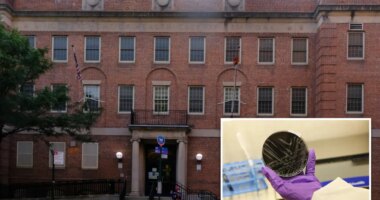 Legionnaires' disease outbreak in 2 NYC nabes has health officials on high alert