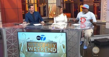 Leon Rogers joins 'Windy City Weekend' with filmmaker Jared Kirchheimer; Redo Cabinets shares design options