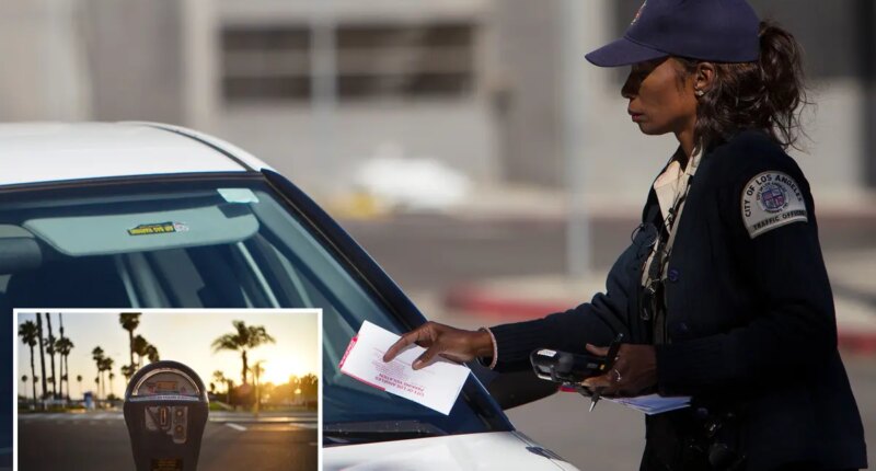 Los Angeles issued more than 12K bogus parking tickets