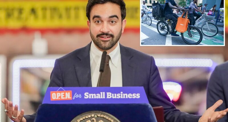 Mamdani-backed charter amendment would strip bike lane opponents of legal leverage