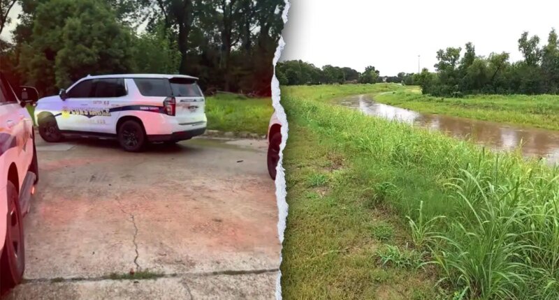 Man accused of attacking, attempting to drown female jogger along Houston bayou: police