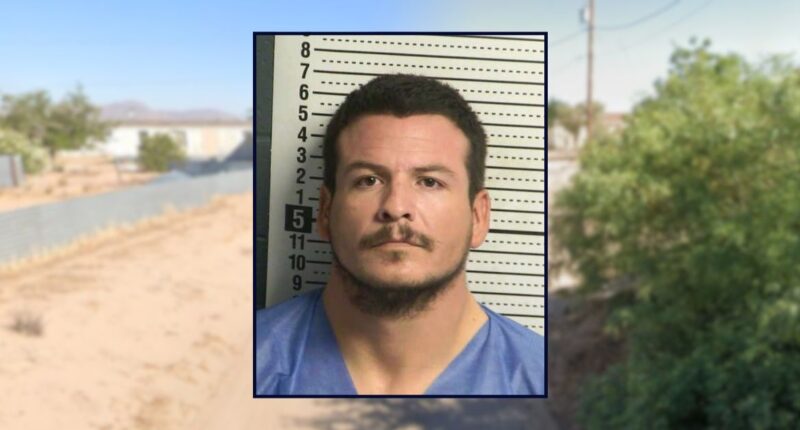 Man killed mom when she stopped his suicide attempt: Police