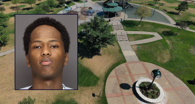 Man searching for sister took a break to shoot someone