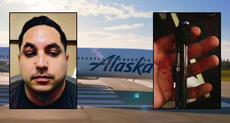Man tried to kill fellow airline passenger with pens
