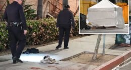 Man who chopped off penis in DTLA cause of death revealed