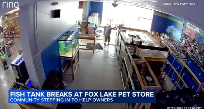Massive tank at Somethin' Fishy Pets in Fox Lake shatters, flooding store and killing hundreds of fish | Video