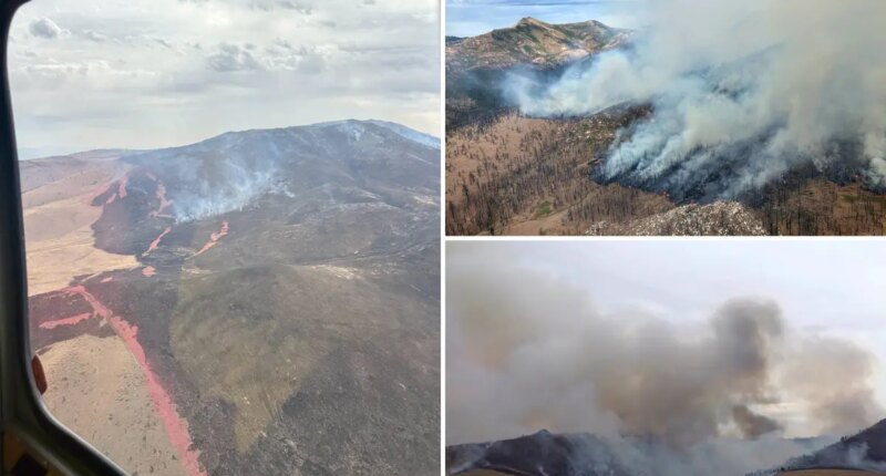 Massive wildfire explodes to twice size of Beverly Hills -- as fire chief erupts over shocking sabotage