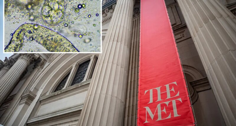 Met Museum, several pricey NYC prep schools among 76 buildings positive for bacteria behind Legionnaires' outbreak