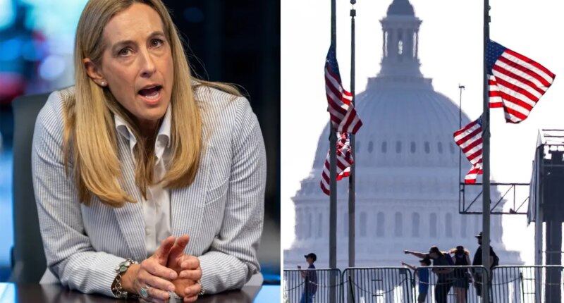 Mikie Sherrill ripped after NJ skips flag directive honoring Lindsey Graham: ‘Most political governor’