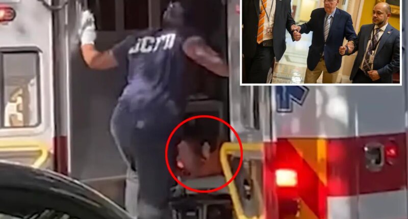 Mitch McConnell seen loaded into an ambulance after suffering apparent cardiac arrest, new video shows