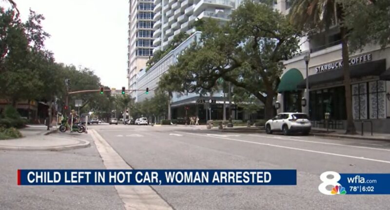 Mom picking up Uber Eats order left baby in hot car: Police
