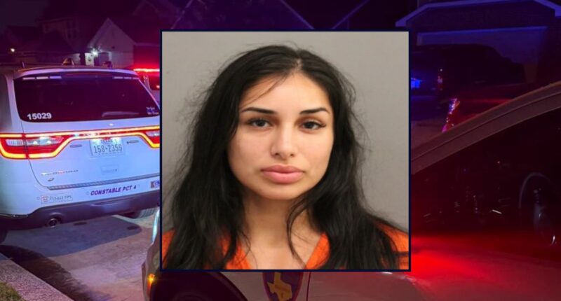 Mother left young children home alone, police say