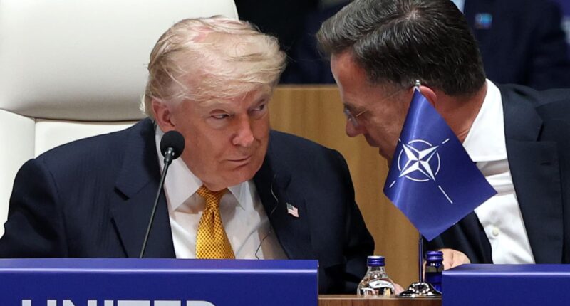 NATO's Rutte wins praise from Trump — but raises eyebrows in Europe