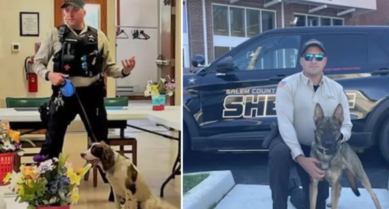 NJ cop in charge of K-9 unit charged after leaving two police dogs to die in hot car for 7 hours: report