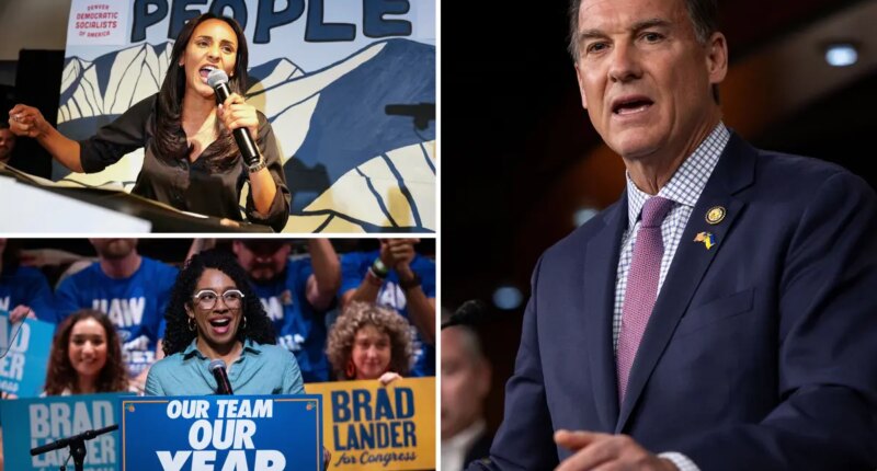 NY Democrat launches campaign to counter socialist wave sweeping party