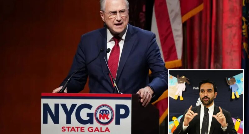 NY Republican Party urges Jewish voters to join GOP, claim Dems like Mamdani show 'worst kind of antisemitism'
