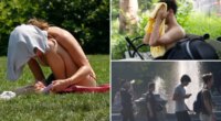 NYC bakes as Central Park hits 100 degrees for first time in over a decade amid blistering heatwave