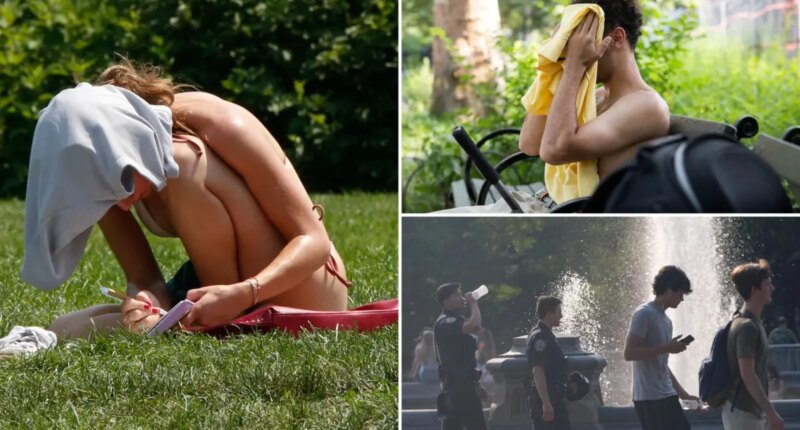 NYC bakes as Central Park hits 100 degrees for first time in over a decade amid blistering heatwave