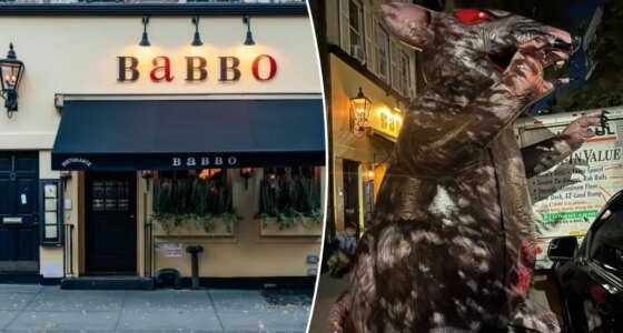 NYC eatery Babbo ordered to turn over video from when ‘Scabby the Rat’ mascot was knifed