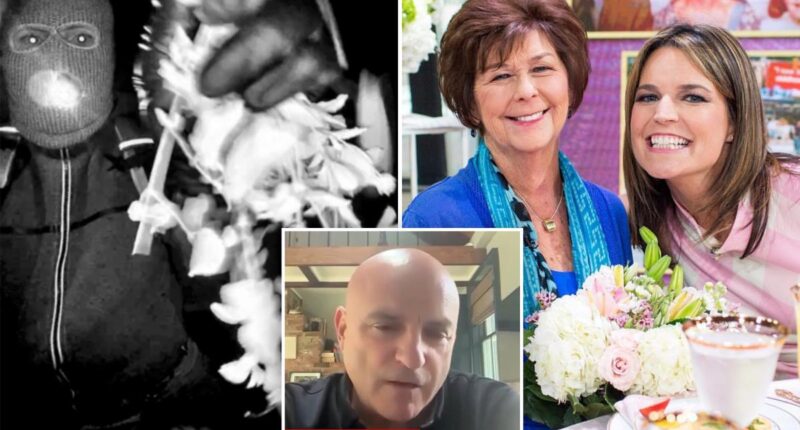 Nancy Guthrie case could be solved with 'crowdsourcing' help, private investigator says