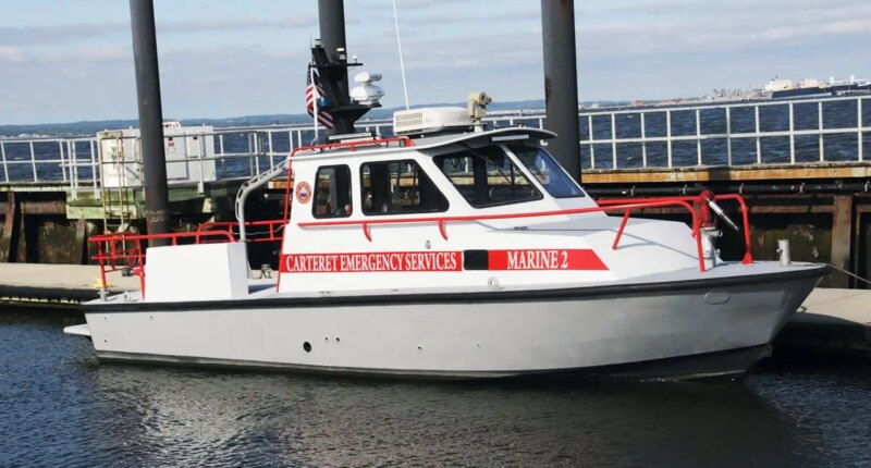 New York Harbor whale strike sinks fire rescue boat after July 4 celebrations