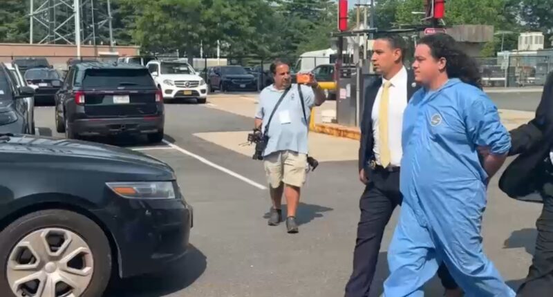 New York elementary school music teacher charged in disturbing murder of sister-in-law