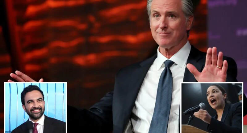 Newsom tells Democrats to be in the 'addition not subtraction' business with socialists