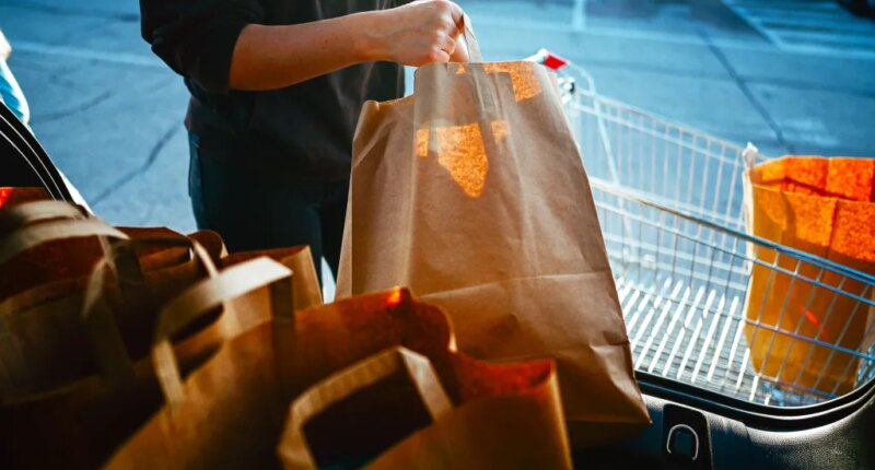 No, a paper bag is not "sustainable." Here is the math to prove it