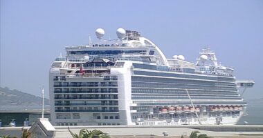 Norovirus outbreak on Ruby Princess cruise ship affects over 120 passengers and crew; docked at SF's Pier 27 for cleaning