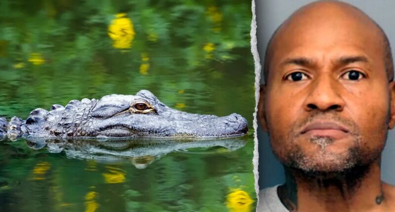 Officers in Maryland respond to reported assault, discover guns and unusual group of animals