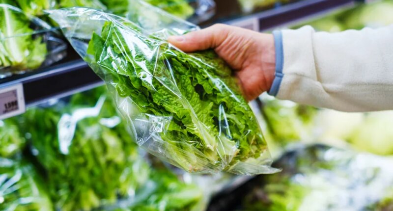 Parasite Outbreak Sends Lettuce Industry Into a PR Crisis
