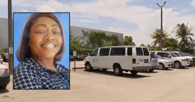Parks director who left child in her van has case dismissed