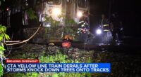 Passengers rescued after storms knock trees onto CTA Yellow Line tracks in Evanston