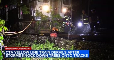 Passengers rescued after storms knock trees onto CTA Yellow Line tracks in Evanston