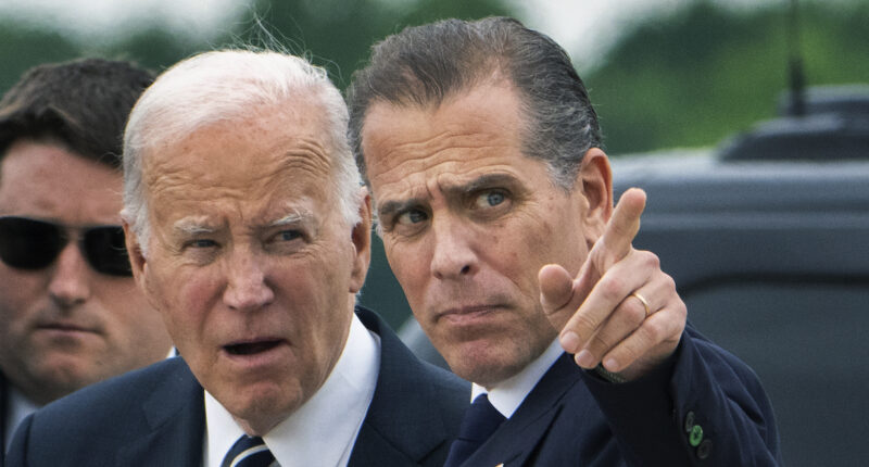 Patrick Byrne forced to pay Hunter Biden after lawsuit loss