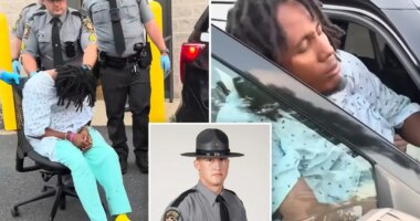 Pennsylvania state trooper Michael Pahira killed by Haitian illegal immigrant truck driver Michael Bon: report