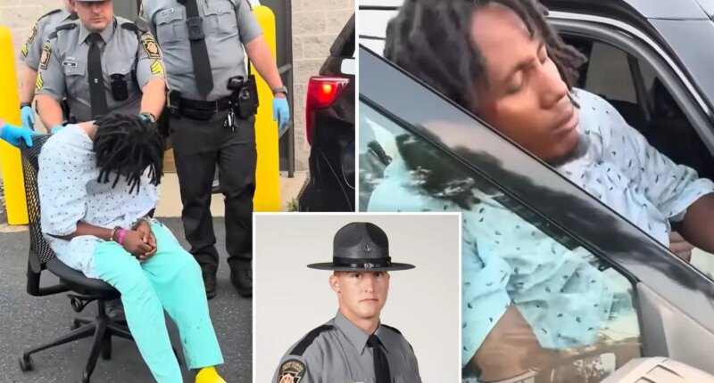 Pennsylvania state trooper Michael Pahira killed by Haitian illegal immigrant truck driver Michael Bon: report