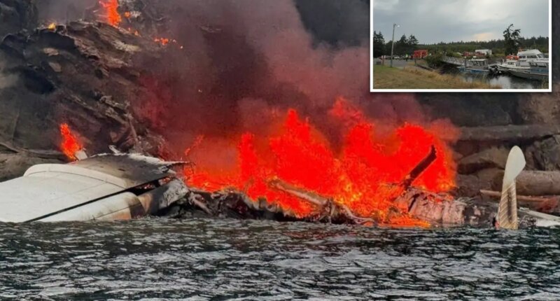 Plane carrying 10 passengers and pilot catches fire after crash-landing in Washington island waters
