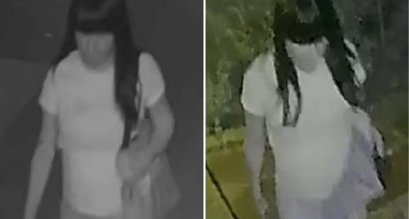Police searching for creep who raped boy, 15, in back of NYC home