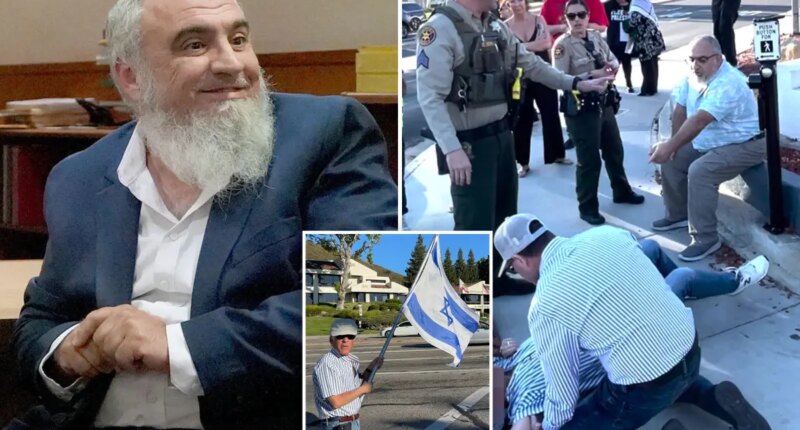 Pro-Palestinian man jailed for one year over death of Jewish demonstrator