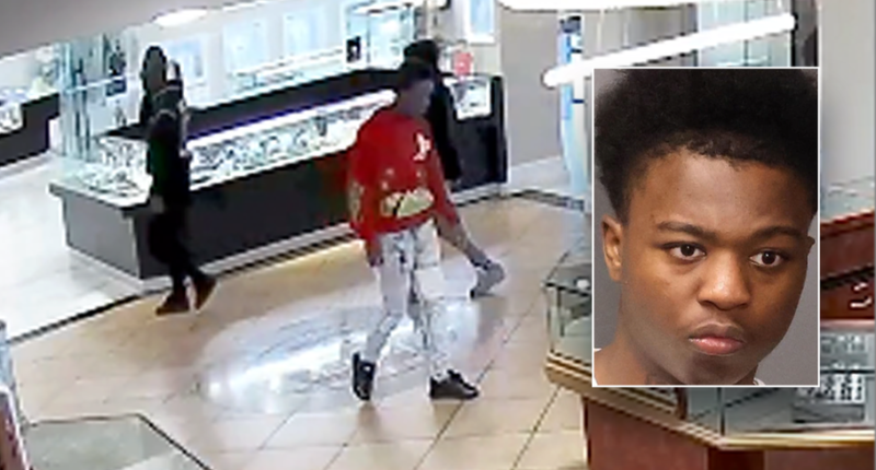Repeat offender busted again less than 24 hours after release in brazen jewelry store theft case: police