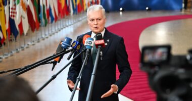 Russia-Ukraine: Lithuania scraps constitutional ban on nuclear weapons